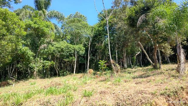 Terreno em bairro cercado pela natureza.